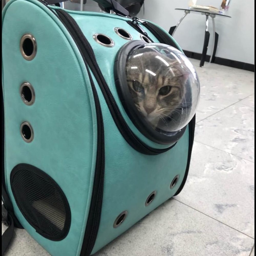 Cat Backpack - Picture 2 of 2